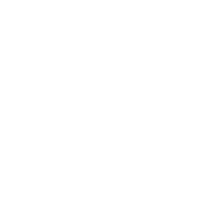 HLAVNÝ PARTNER